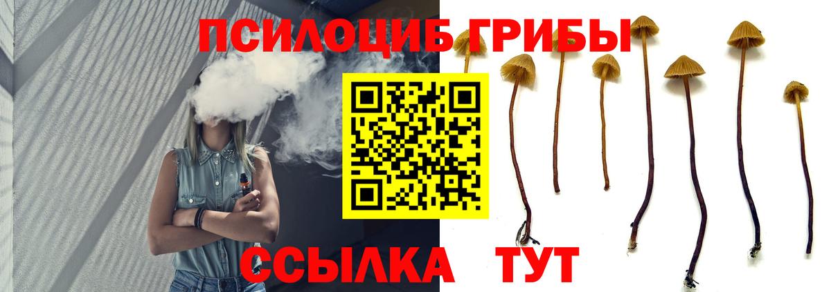 Псилоцибиновые грибы мицелий  Вход с VPN  как найти закладки  Ялта 
